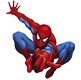 Spiderman Bounce House rentals in CT